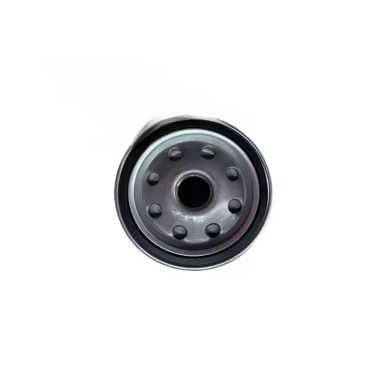 Truck engine oil filter 1003697977A